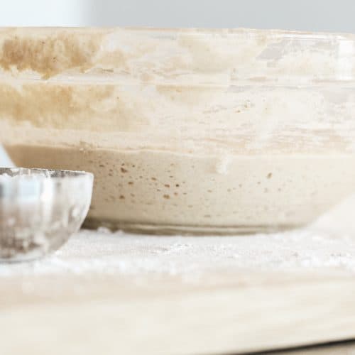 How To Feed Sourdough Starter