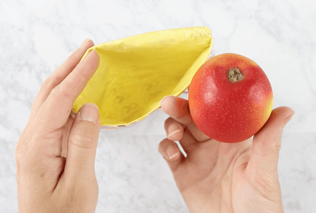 diy reusable bag with apple