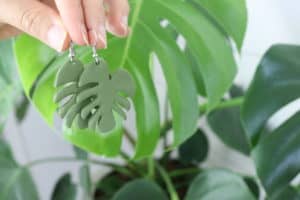 monstera leaf earrings