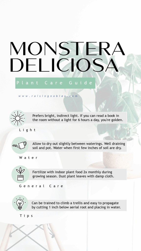 monstera deliciosa printable plant care guide